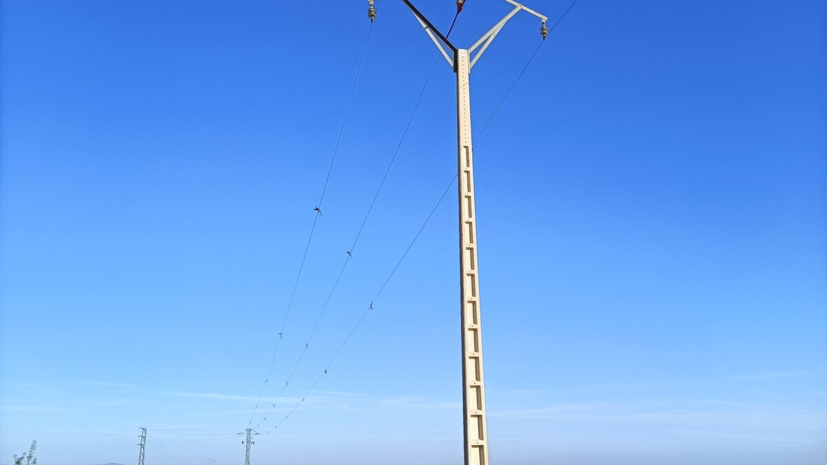 Protección de ocho tendidos eléctricos