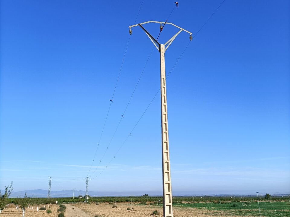 Protección de ocho tendidos eléctricos